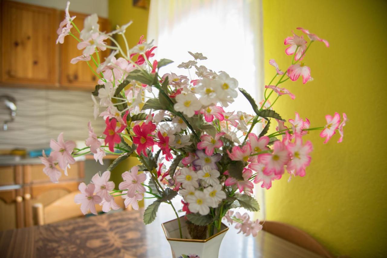 Yeti Guest House Mavrovo Luaran gambar